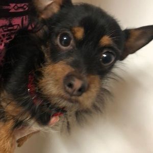 Meet your Posher, Cristian